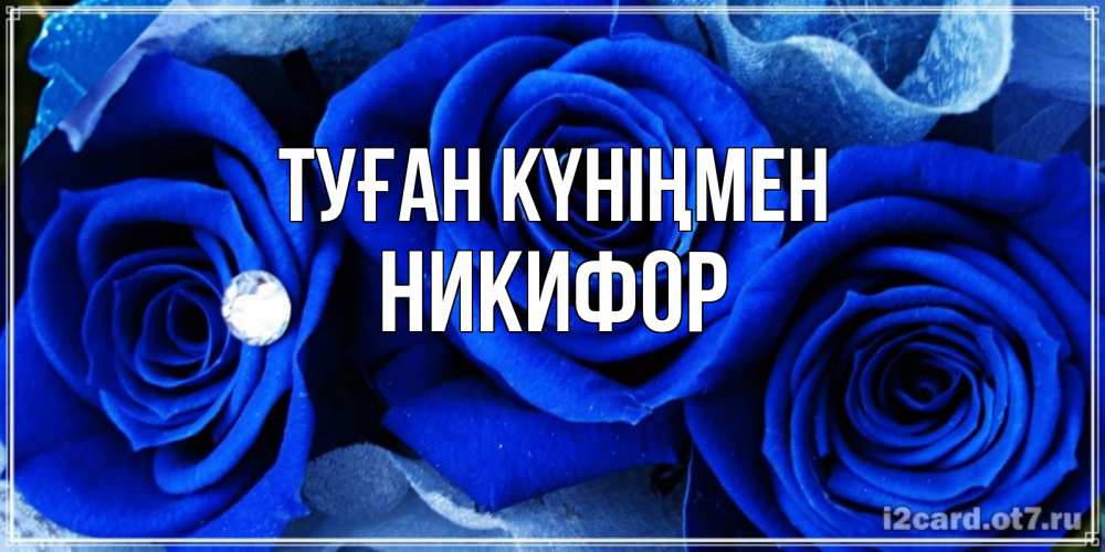 Күн сайын ашық хат с именем, Никифор Туған күніңмен синие розы в росе Онлайн тегін жүктеп алу тілектері бар керемет карта 