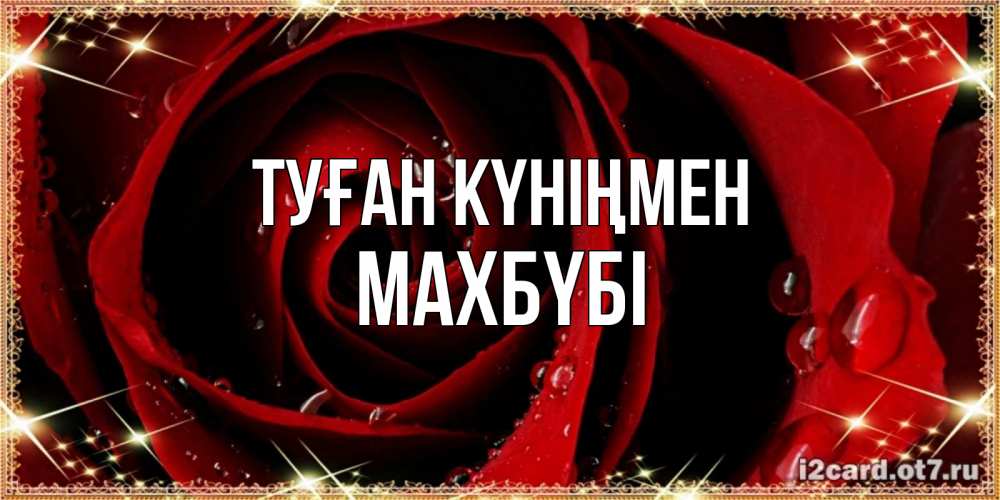 Күн сайын ашық хат с именем, МАХБҮБІ Туған күніңмен цветок в росе на день рождения Онлайн тегін жүктеп алу тілектері бар керемет карта 