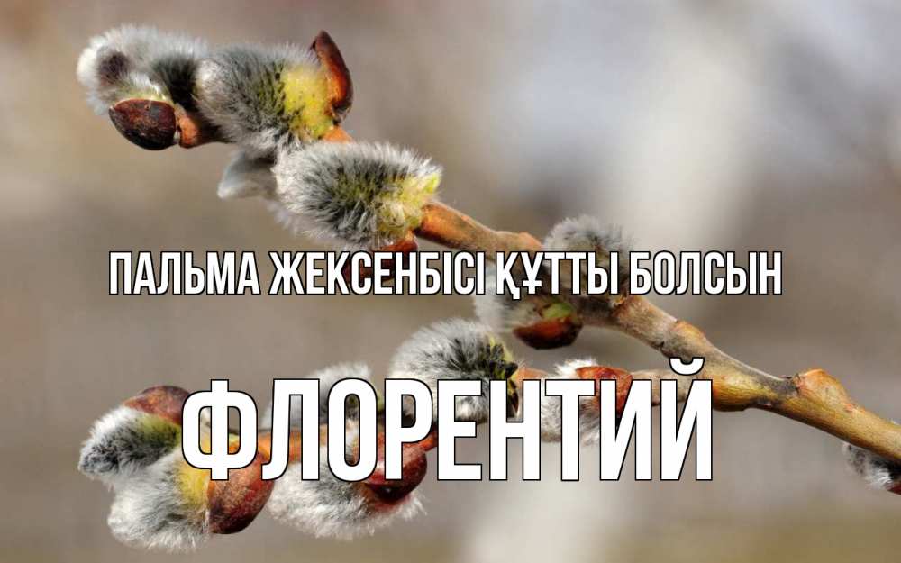 Картинка Пальма жексенбісі құтты болсын, Флорентий