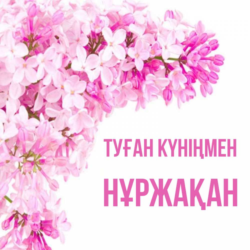Күн сайын ашық хат с именем, НҰРЖАҚАН Туған күніңмен Сирень на белом фоне Онлайн тегін жүктеп алу тілектері бар керемет карта 