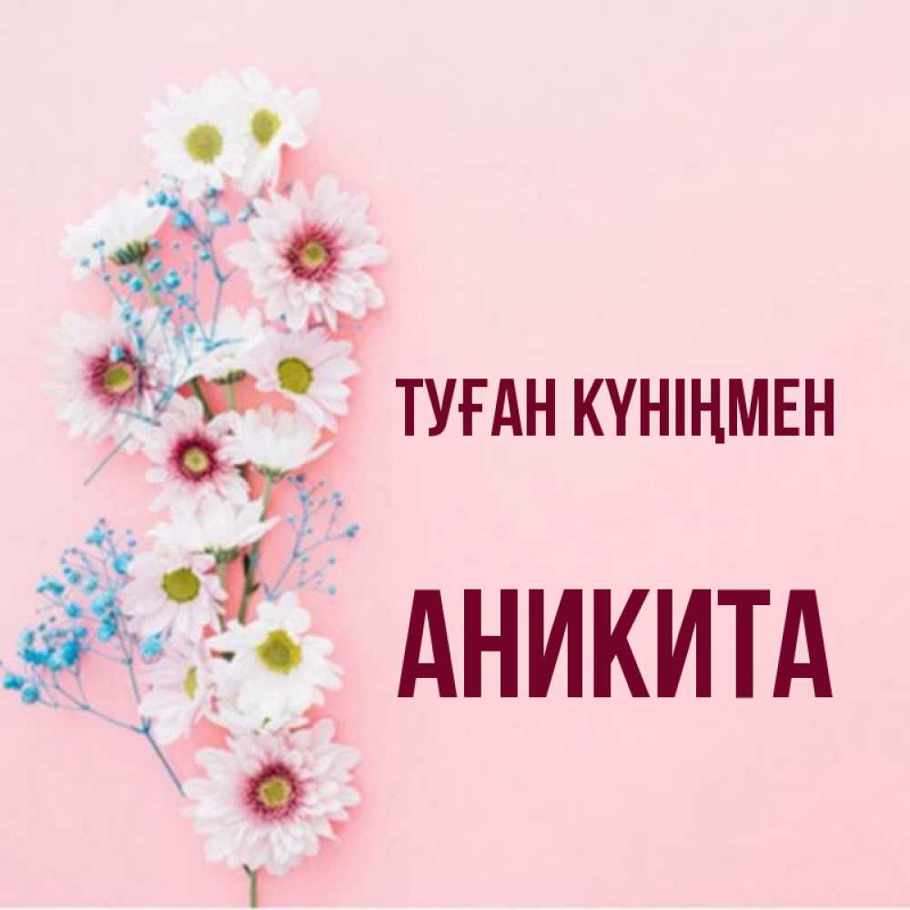 Күн сайын ашық хат с именем, Аникита Туған күніңмен Родная моя с днем рождения тебя картинка с цветами белыми и голубыми Онлайн тегін жүктеп алу тілектері бар керемет карта 