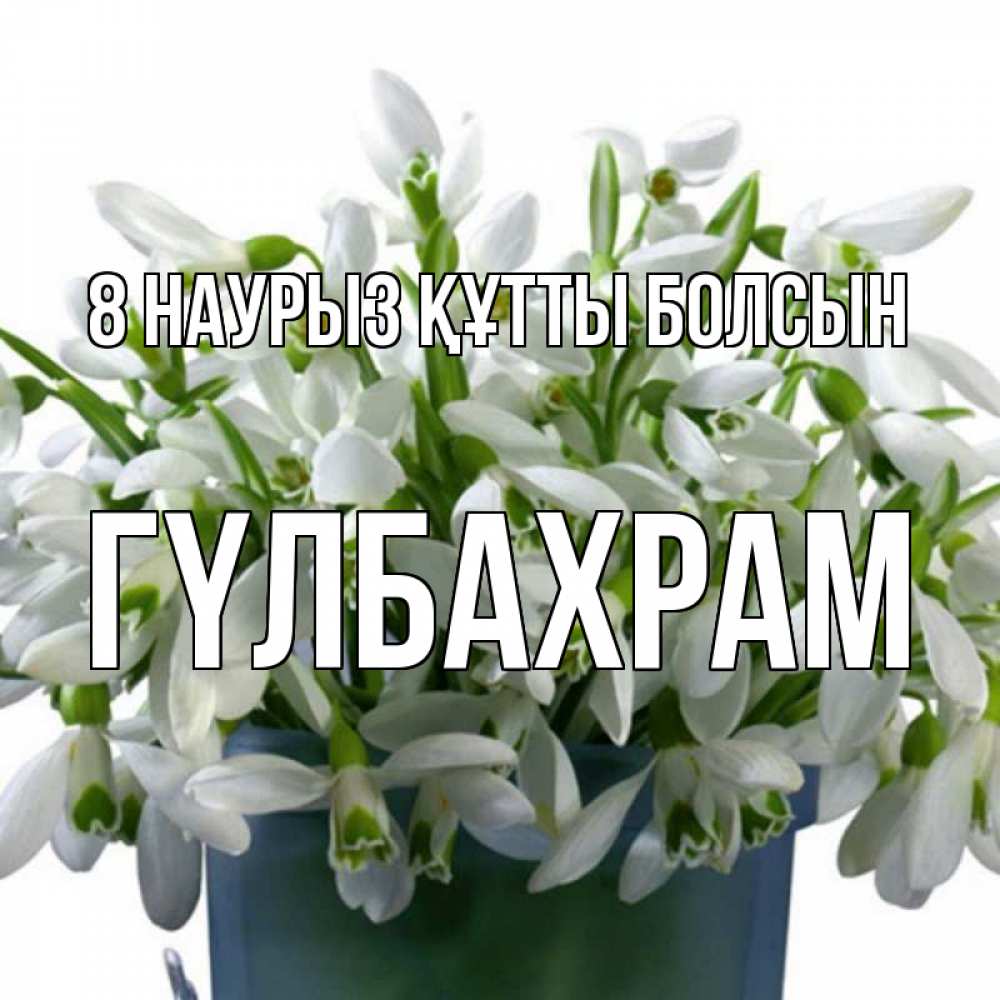 Күн сайын ашық хат с именем, ГҮЛБАХРАМ 8 наурыз құтты болсын цветы к международному женскому дню Онлайн тегін жүктеп алу тілектері бар керемет карта 