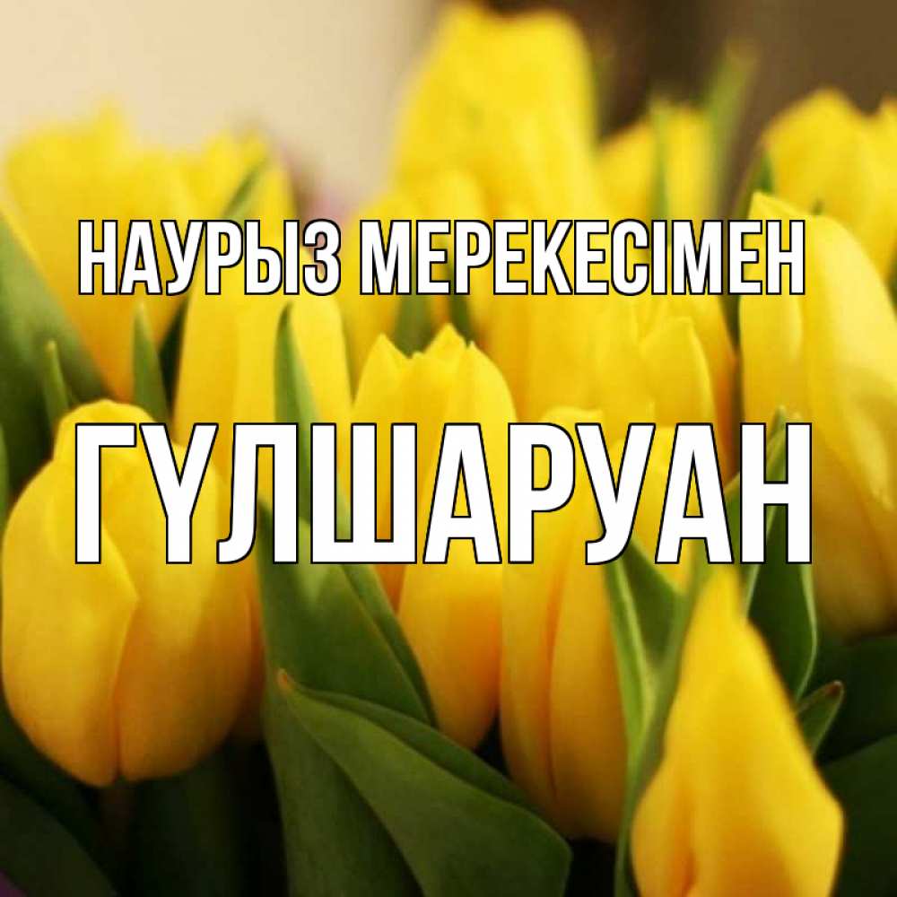 Күн сайын ашық хат с именем, ГҮЛШАРУАН Наурыз мерекесімен цветы Онлайн тегін жүктеп алу тілектері бар керемет карта 
