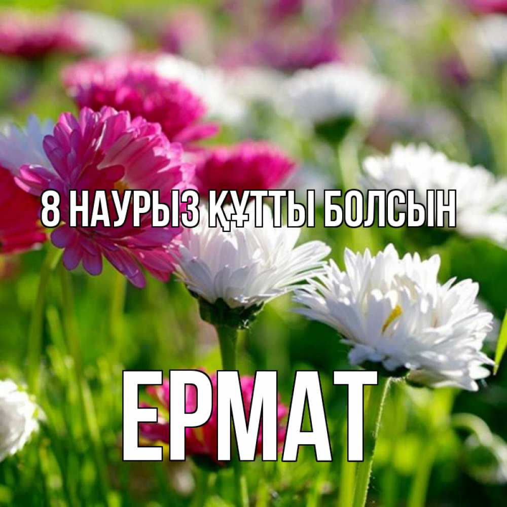 Күн сайын ашық хат с именем, Ермат 8 наурыз құтты болсын международный женский день 1 Онлайн тегін жүктеп алу тілектері бар керемет карта 