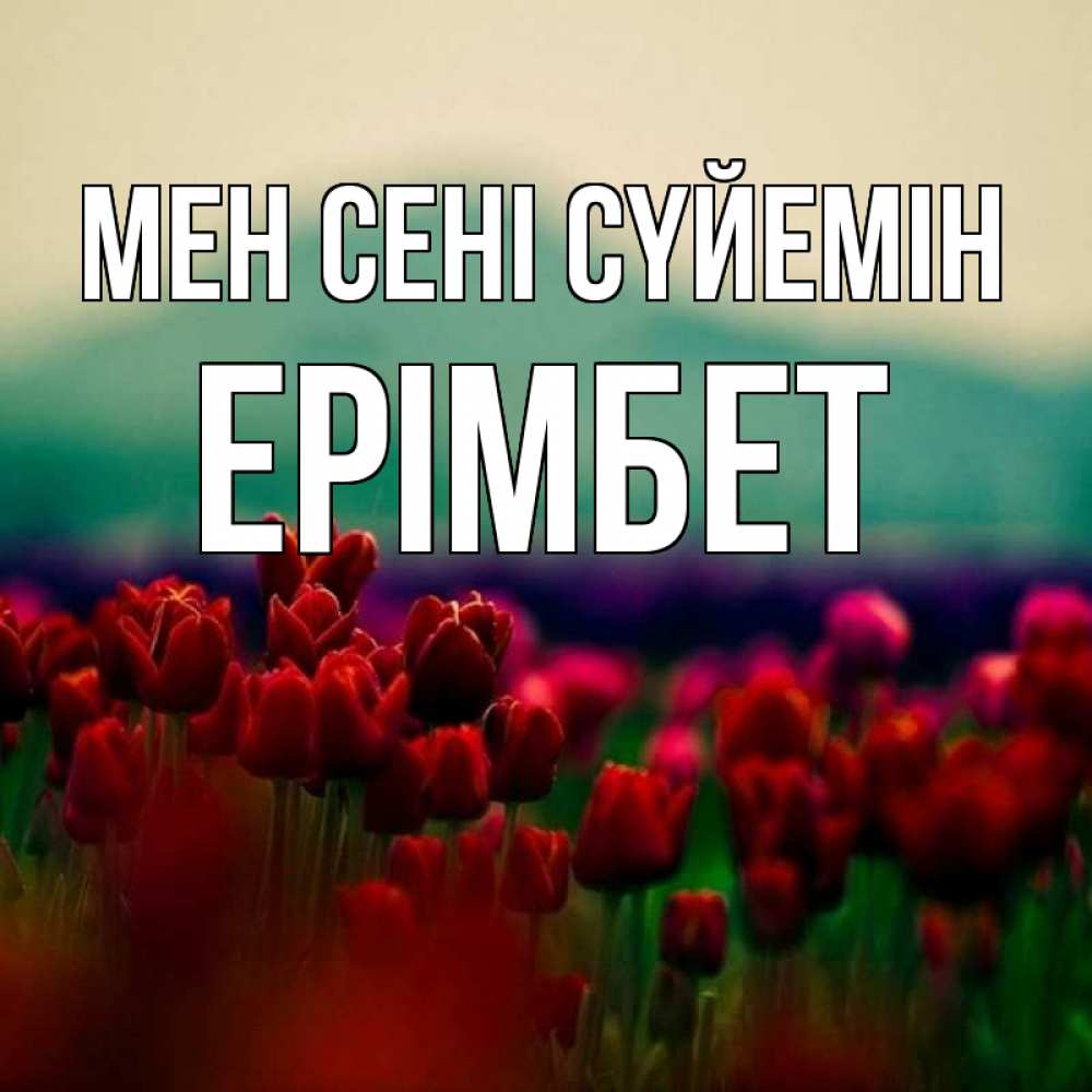 Күн сайын ашық хат с именем, Ерімбет Мен сені сүйемін тюльпаны 4 Онлайн тегін жүктеп алу тілектері бар керемет карта 