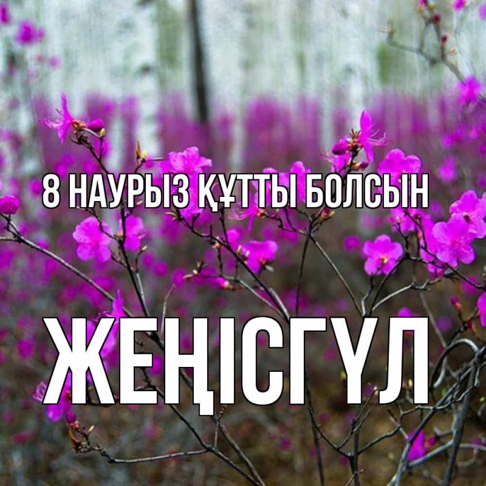 Күн сайын ашық хат с именем, ЖЕҢІСГҮЛ 8 наурыз құтты болсын дикие цветы Онлайн тегін жүктеп алу тілектері бар керемет карта 