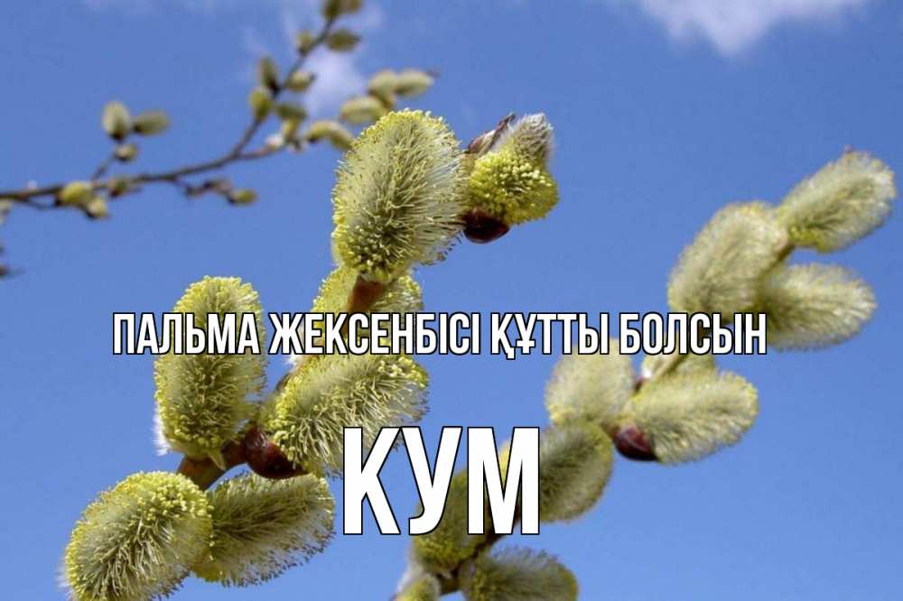 Күн сайын ашық хат с именем, Кум Пальма жексенбісі құтты болсын верба Онлайн тегін жүктеп алу тілектері бар керемет карта 