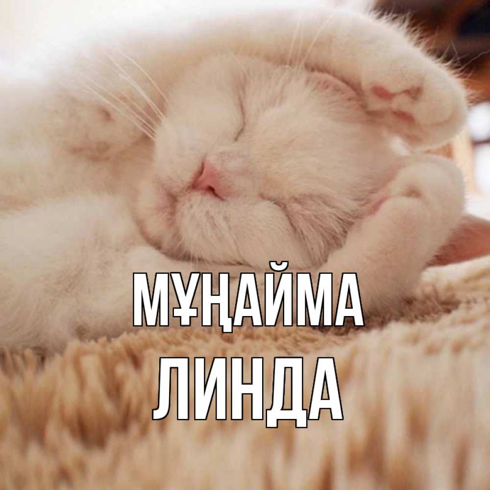 Күн сайын ашық хат с именем, Линда Мұңайма белый кот Онлайн тегін жүктеп алу тілектері бар керемет карта 