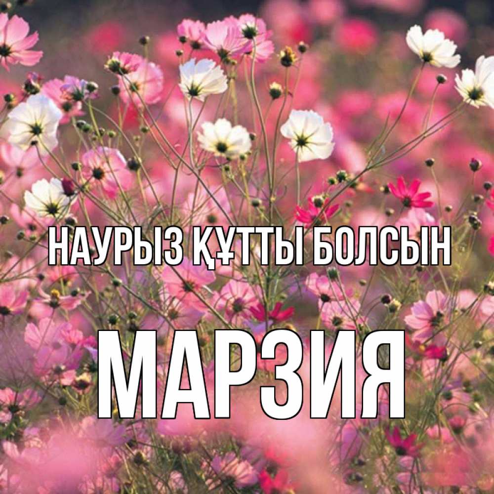 Күн сайын ашық хат с именем, МАРЗИЯ Наурыз құтты болсын красиво 1 Онлайн тегін жүктеп алу тілектері бар керемет карта 
