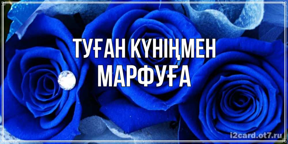 Күн сайын ашық хат с именем, МАРФУҒА Туған күніңмен синие розы в росе Онлайн тегін жүктеп алу тілектері бар керемет карта 