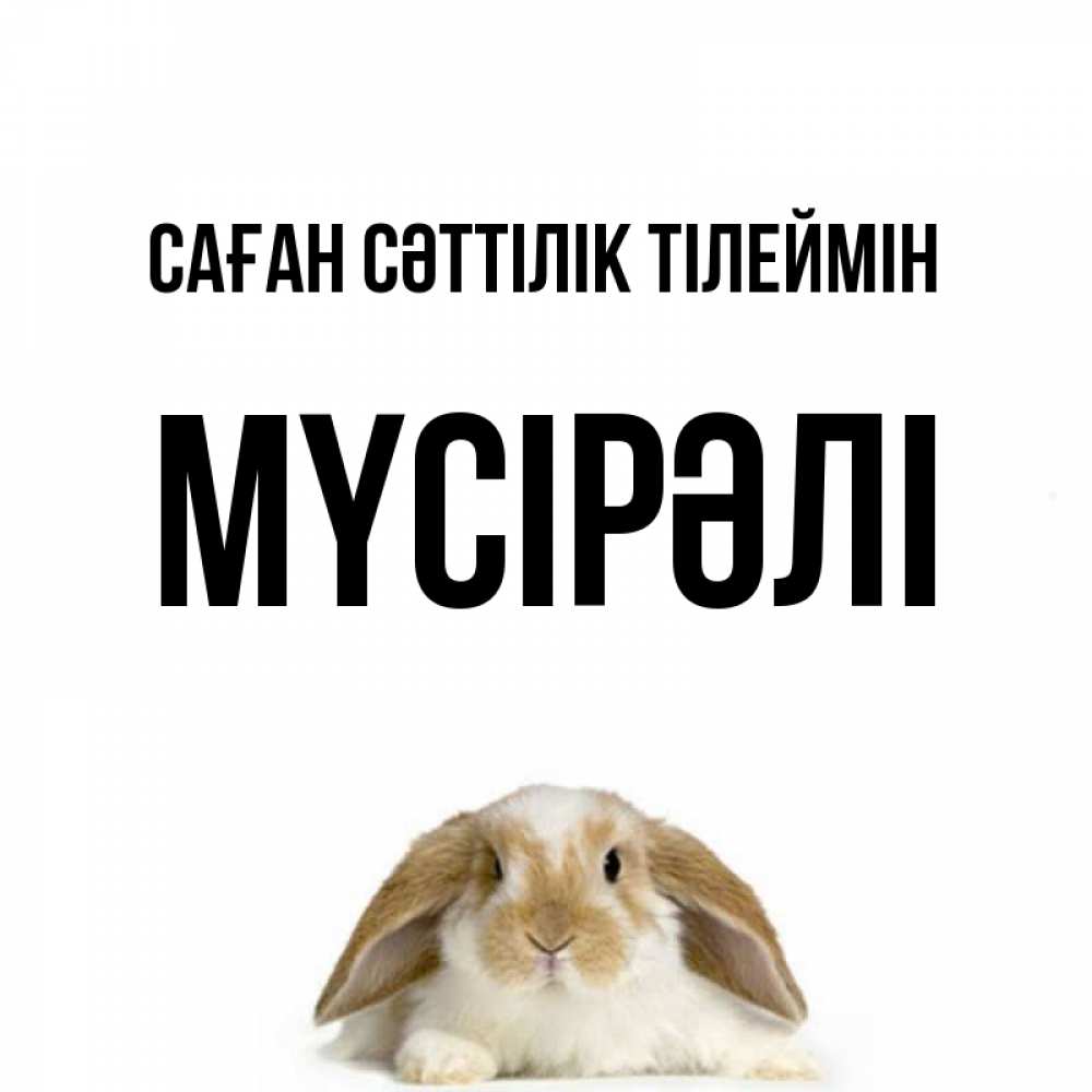Күн сайын ашық хат с именем, МҮСІРӘЛІ Саған сәттілік тілеймін открытки с произвольным текстом который можно вставить в открытку и создать ее самостоятельно бесплатно онлайн Онлайн тегін жүктеп алу тілектері бар керемет карта 