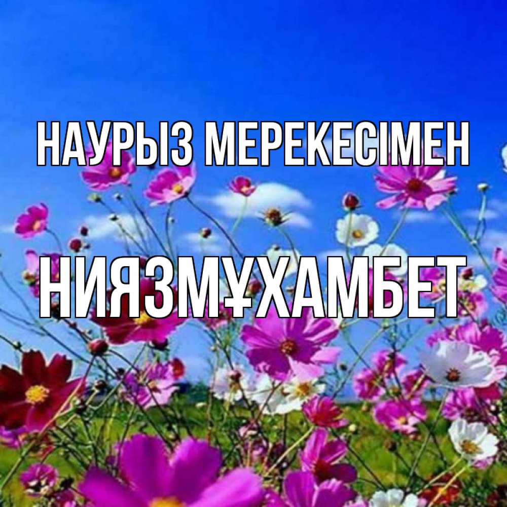 Күн сайын ашық хат с именем, НИЯЗМҰХАМБЕТ Наурыз мерекесімен цветы Онлайн тегін жүктеп алу тілектері бар керемет карта 