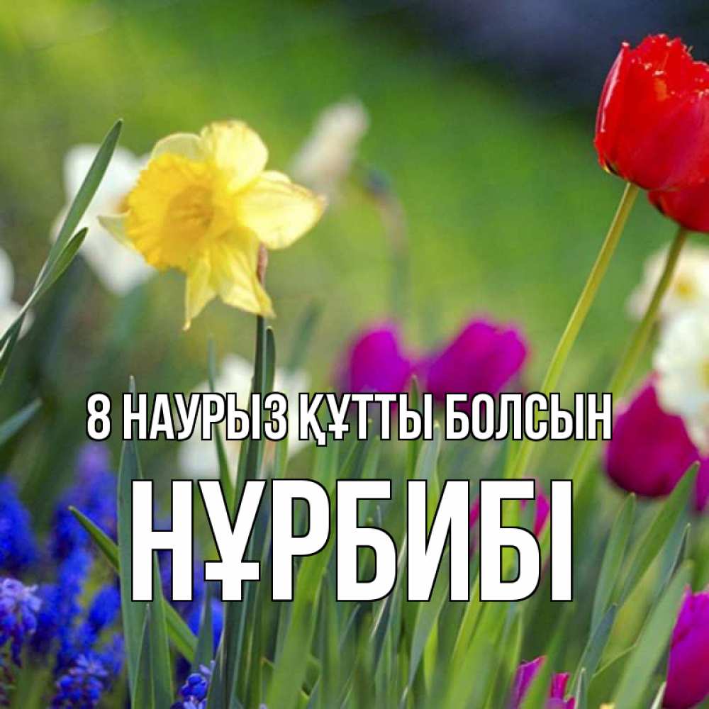 Күн сайын ашық хат с именем, НҰРБИБІ 8 наурыз құтты болсын международный женский день 3 Онлайн тегін жүктеп алу тілектері бар керемет карта 