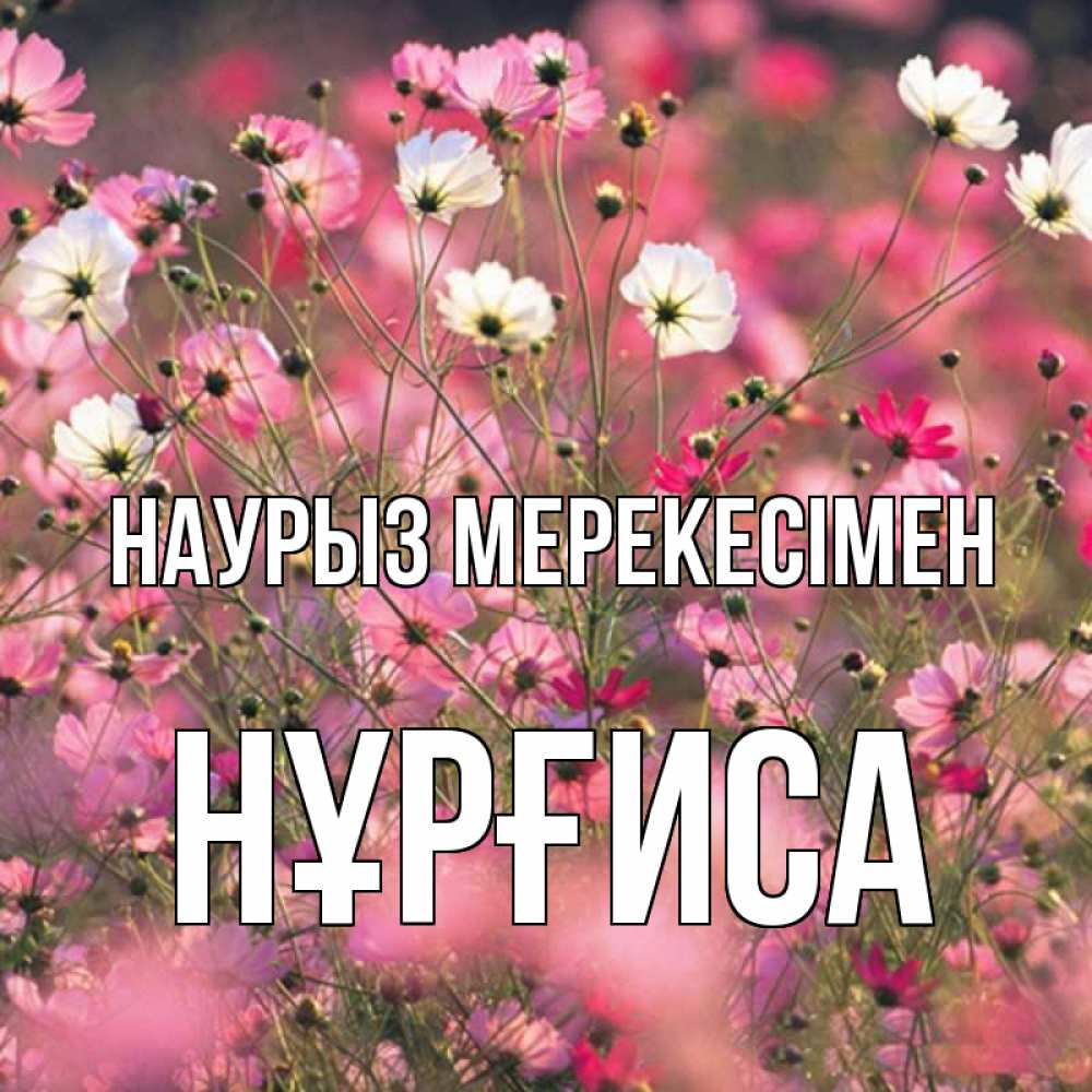 Күн сайын ашық хат с именем, НҰРҒИСА Наурыз мерекесімен красиво 1 Онлайн тегін жүктеп алу тілектері бар керемет карта 
