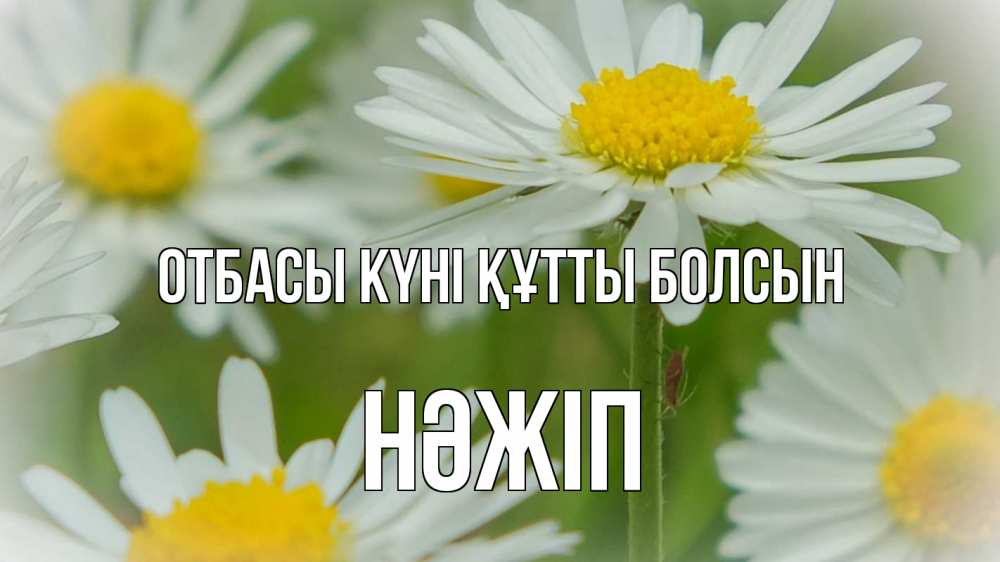 Күн сайын ашық хат с именем, НӘЖІП отбасы күні құтты болсын с днем семьи  1 Онлайн тегін жүктеп алу тілектері бар керемет карта 