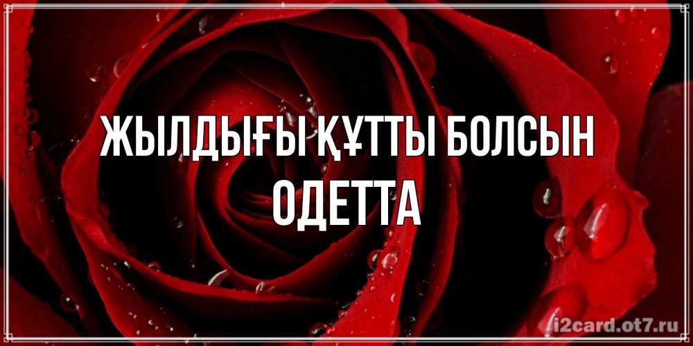Күн сайын ашық хат с именем, Одетта Жылдығы құтты болсын крупная бордовая роза Онлайн тегін жүктеп алу тілектері бар керемет карта 