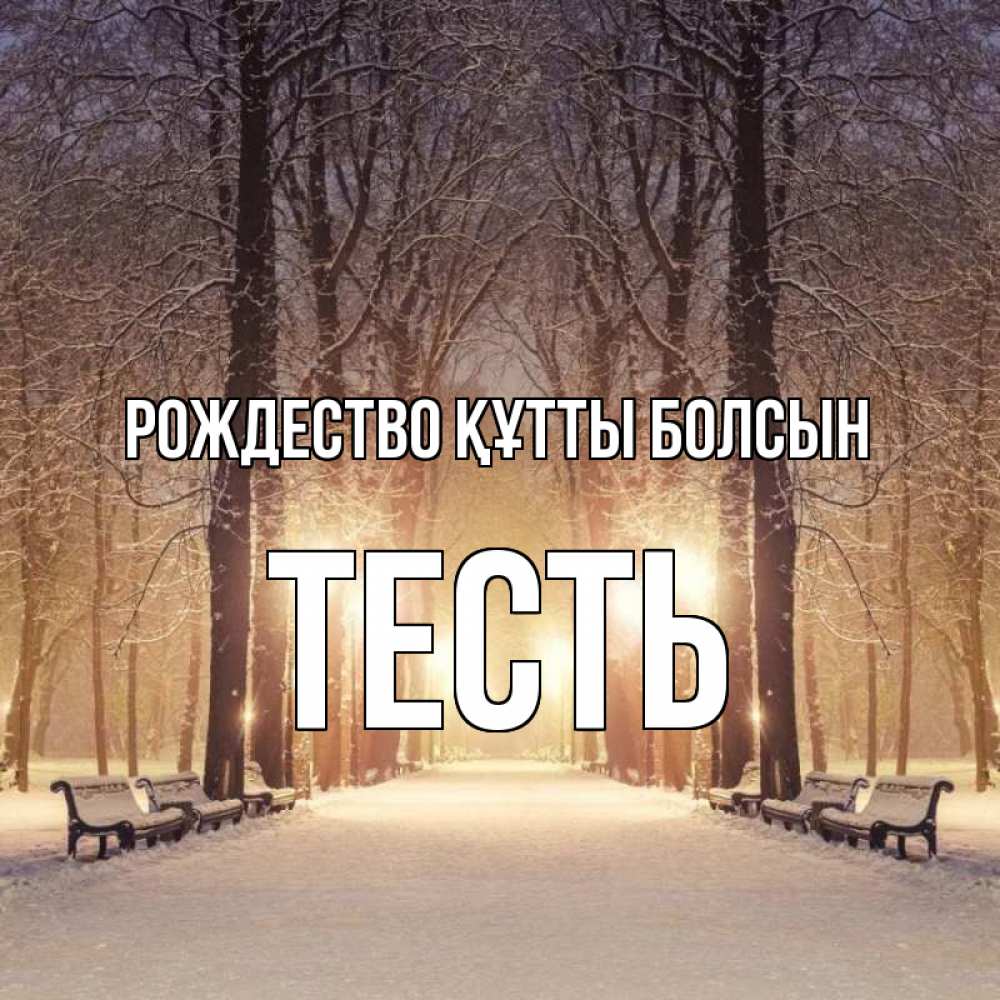 Күн сайын ашық хат с именем, Тесть Рождество құтты болсын зима, парк, фонарь, лес Онлайн тегін жүктеп алу тілектері бар керемет карта 