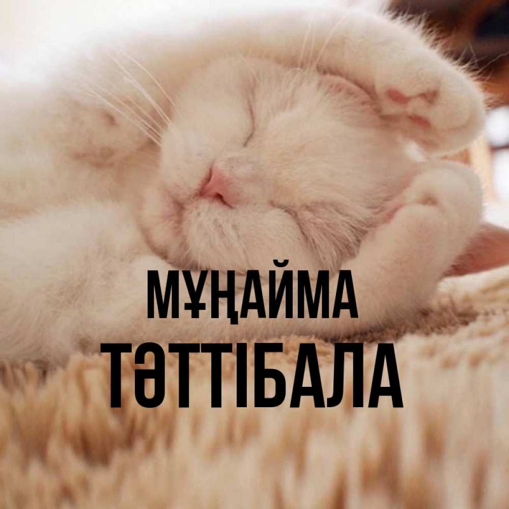 Күн сайын ашық хат с именем, ТӘТТІБАЛА Мұңайма Котенок спит Онлайн тегін жүктеп алу тілектері бар керемет карта 