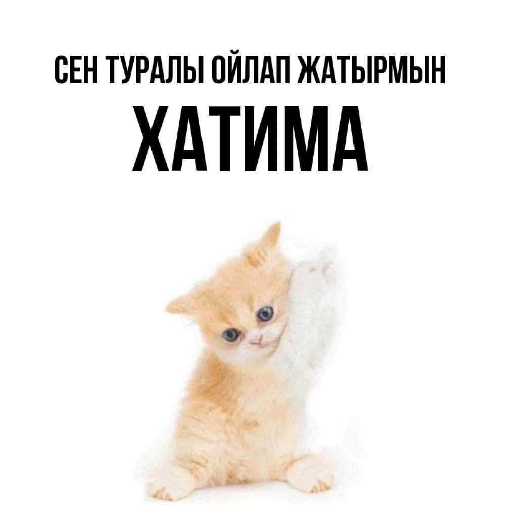 Күн сайын ашық хат с именем, ХАТИМА Сен туралы ойлап жатырмын зверушки и милота Онлайн тегін жүктеп алу тілектері бар керемет карта 