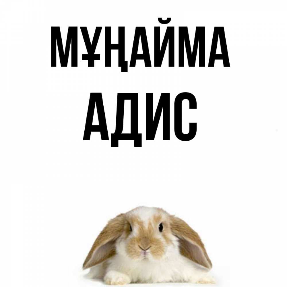 Күн сайын ашық хат с именем, Адис Мұңайма коричнево белый заяц с большими ушками Онлайн тегін жүктеп алу тілектері бар керемет карта 