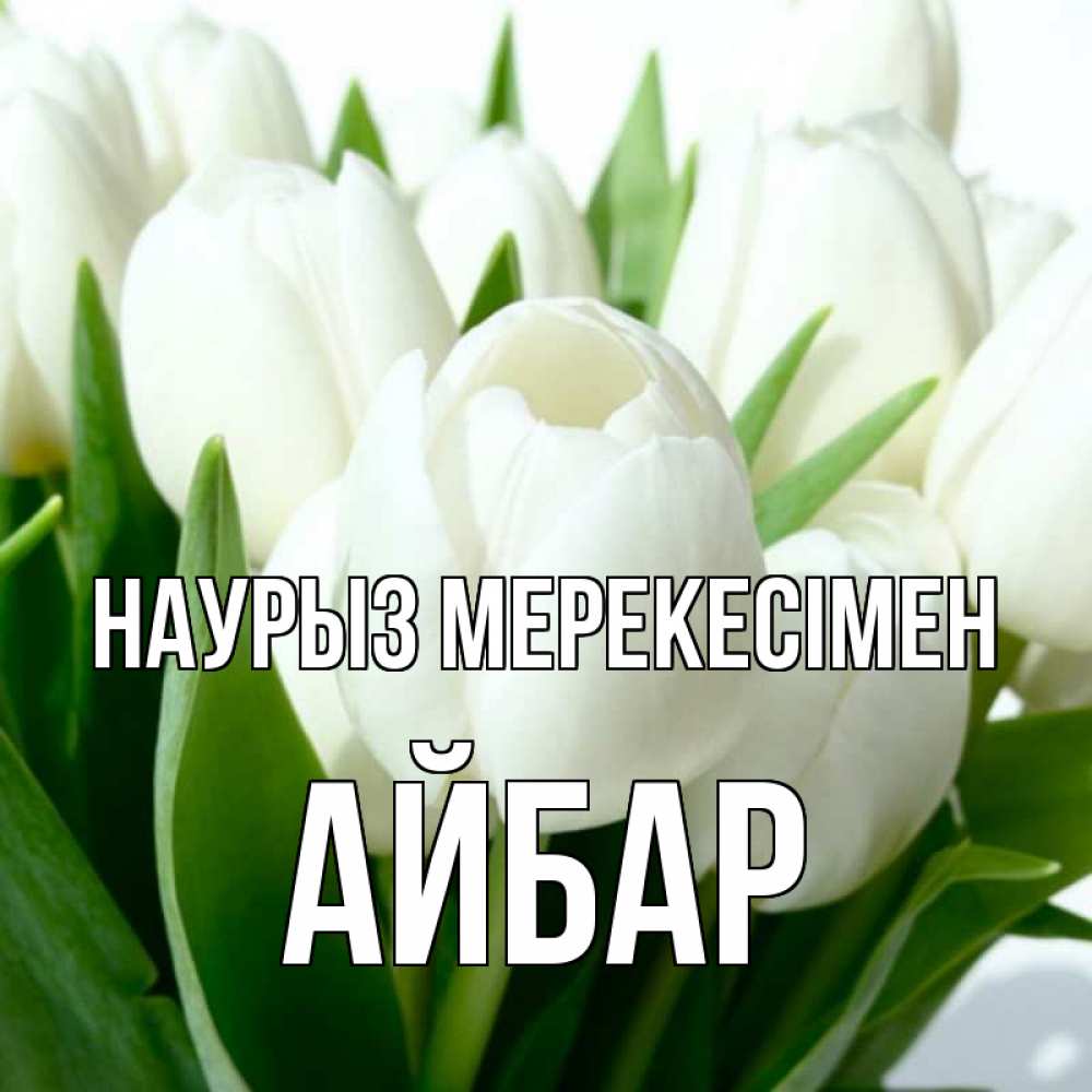 Күн сайын ашық хат с именем, Айбар Наурыз мерекесімен цветы Онлайн тегін жүктеп алу тілектері бар керемет карта 