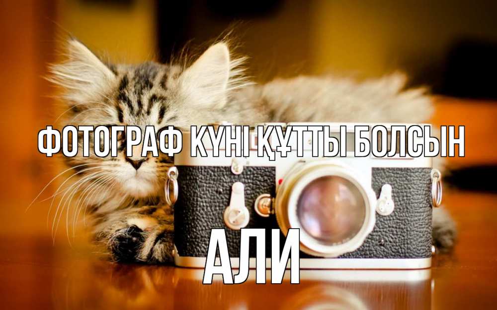 Күн сайын ашық хат с именем, Али Фотограф күні құтты болсын с днем фотографа Онлайн тегін жүктеп алу тілектері бар керемет карта 