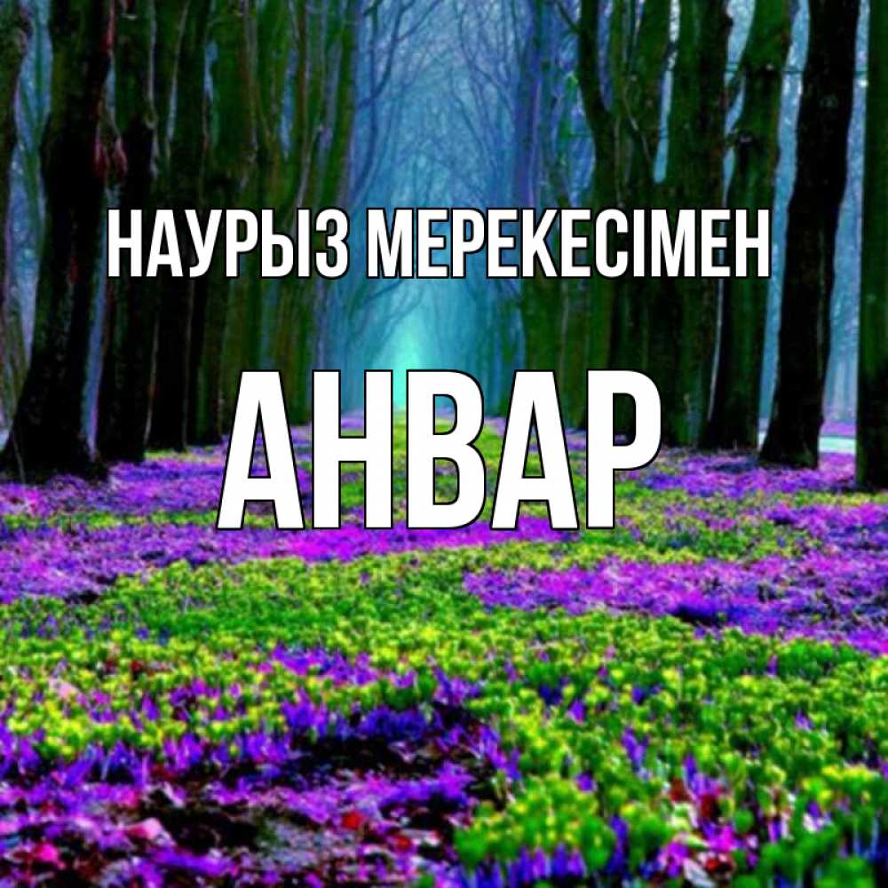 Күн сайын ашық хат с именем, Анвар Наурыз мерекесімен фиолетовые цветы в лесу 1 Онлайн тегін жүктеп алу тілектері бар керемет карта 