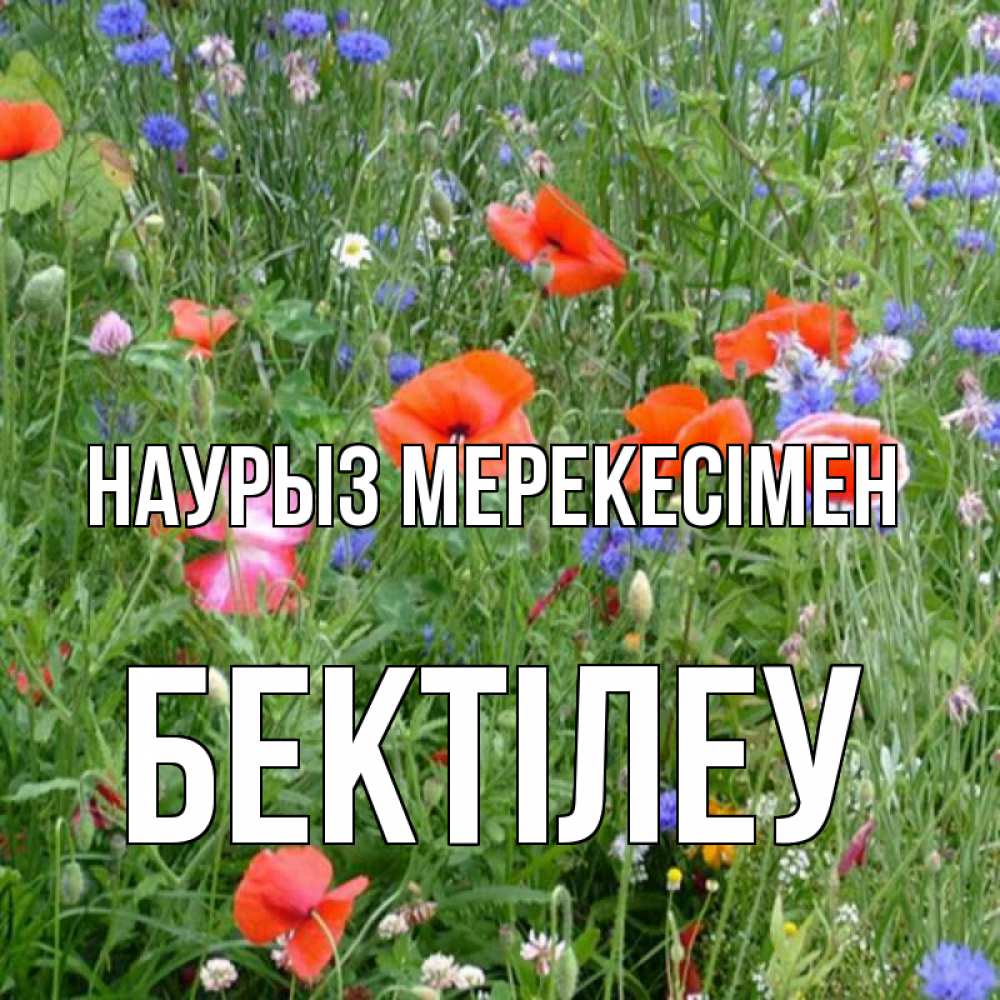 Күн сайын ашық хат с именем, Бектілеу Наурыз мерекесімен праздник весны наурыз супер открытка Онлайн тегін жүктеп алу тілектері бар керемет карта 