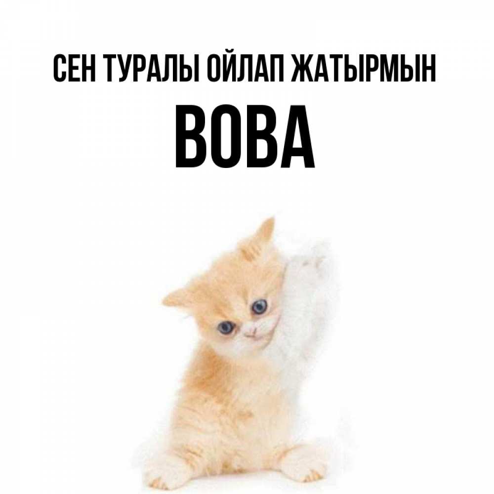 Күн сайын ашық хат с именем, Вова Сен туралы ойлап жатырмын зверушки и милота Онлайн тегін жүктеп алу тілектері бар керемет карта 