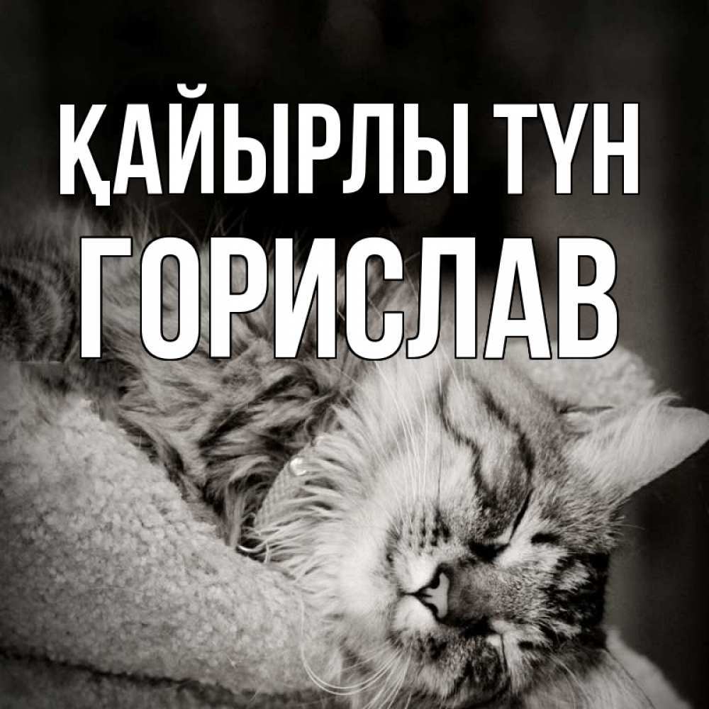 Күн сайын ашық хат с именем, Горислав Қайырлы түн котярик пушистый Онлайн тегін жүктеп алу тілектері бар керемет карта 