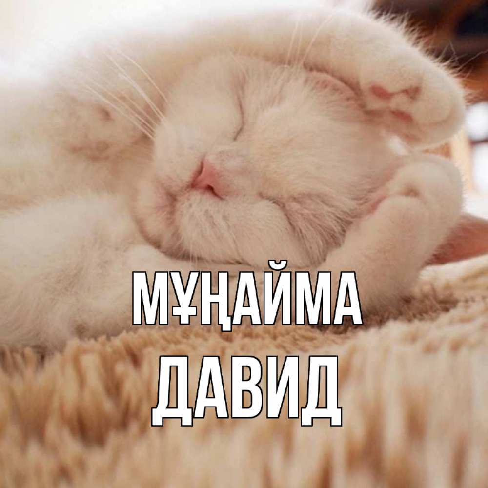 Күн сайын ашық хат с именем, Давид Мұңайма белый кот Онлайн тегін жүктеп алу тілектері бар керемет карта 
