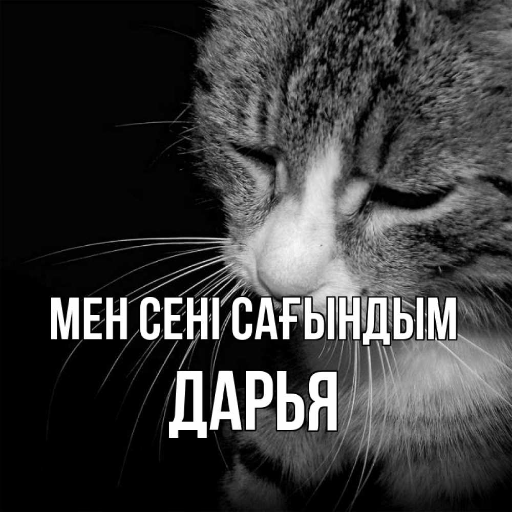 Күн сайын ашық хат с именем, Дарья Мен сені сағындым мне скучно Онлайн тегін жүктеп алу тілектері бар керемет карта 