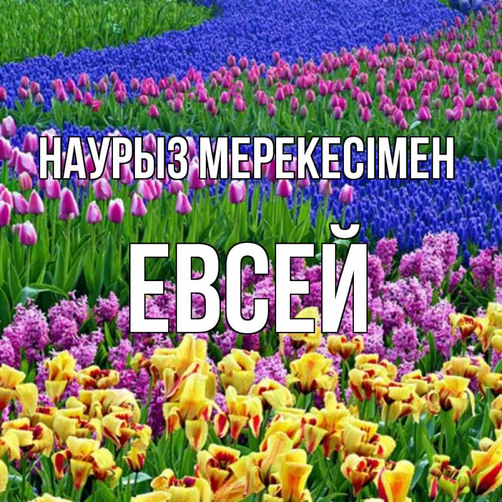 Күн сайын ашық хат с именем, Евсей Наурыз мерекесімен цветы Онлайн тегін жүктеп алу тілектері бар керемет карта 