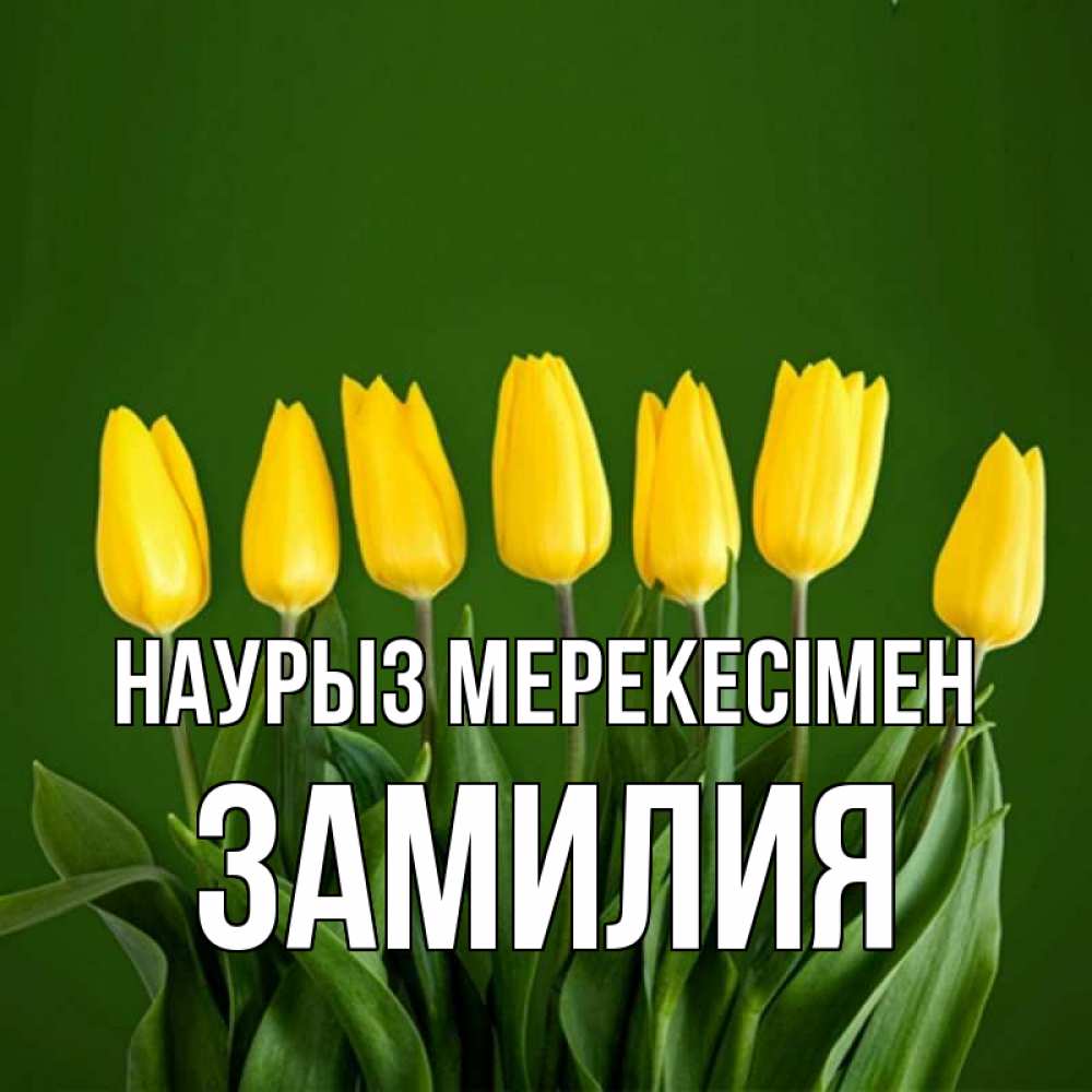 Күн сайын ашық хат с именем, ЗАМИЛИЯ Наурыз мерекесімен желтого цвета 3 Онлайн тегін жүктеп алу тілектері бар керемет карта 