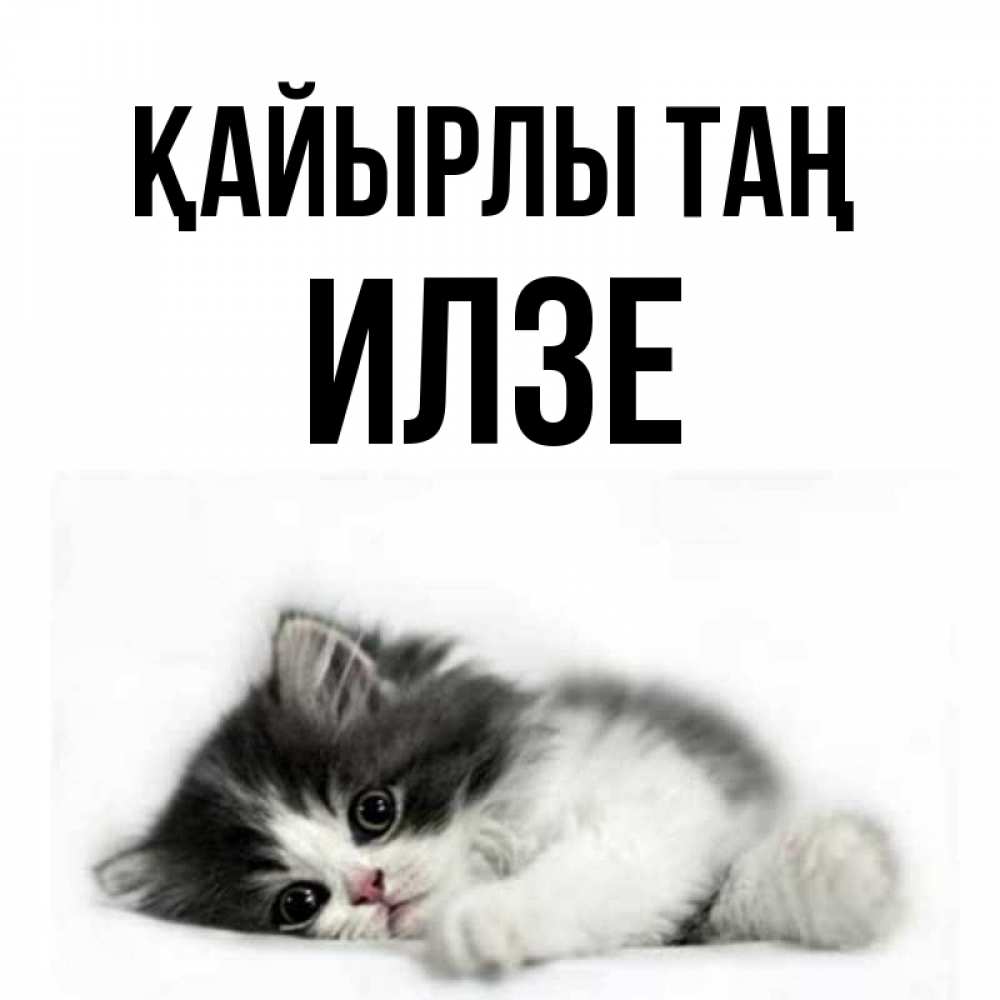 Күн сайын ашық хат с именем, Илзе Қайырлы таң кот лапки Онлайн тегін жүктеп алу тілектері бар керемет карта 