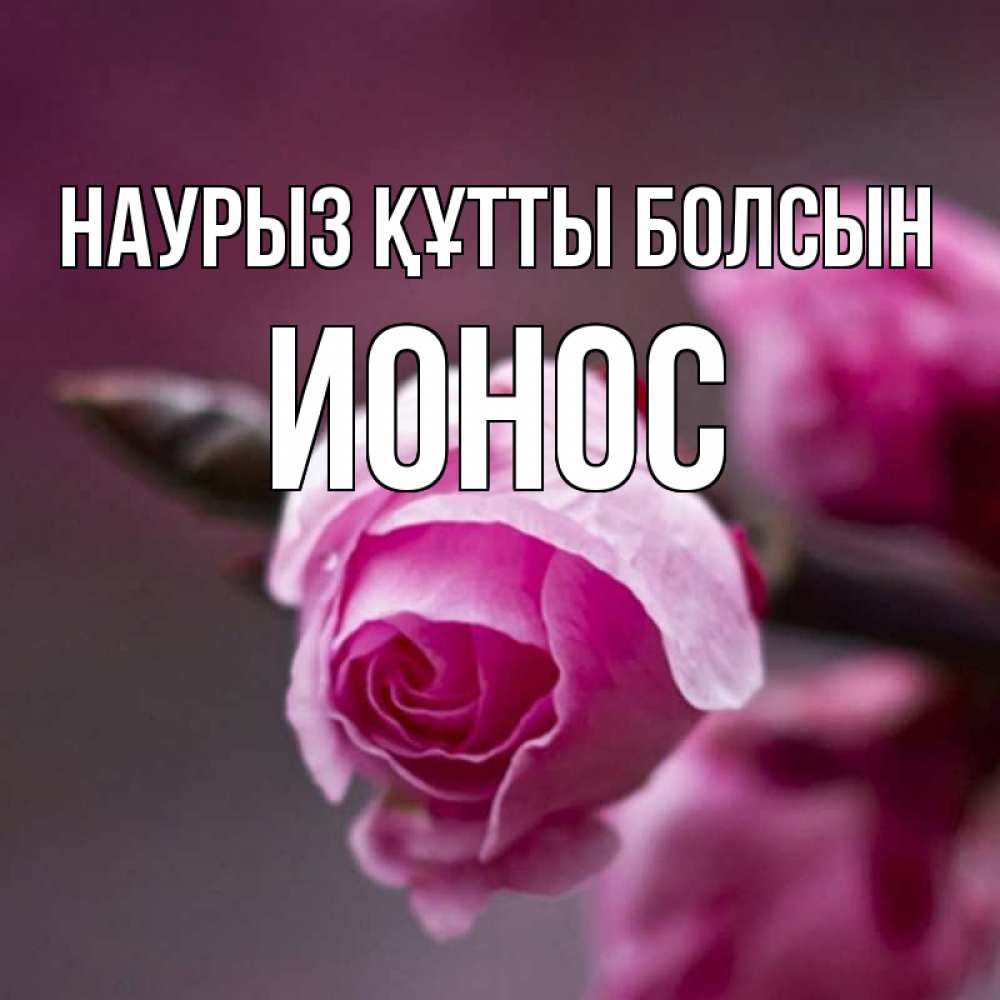 Күн сайын ашық хат с именем, Ионос Наурыз құтты болсын весна Онлайн тегін жүктеп алу тілектері бар керемет карта 