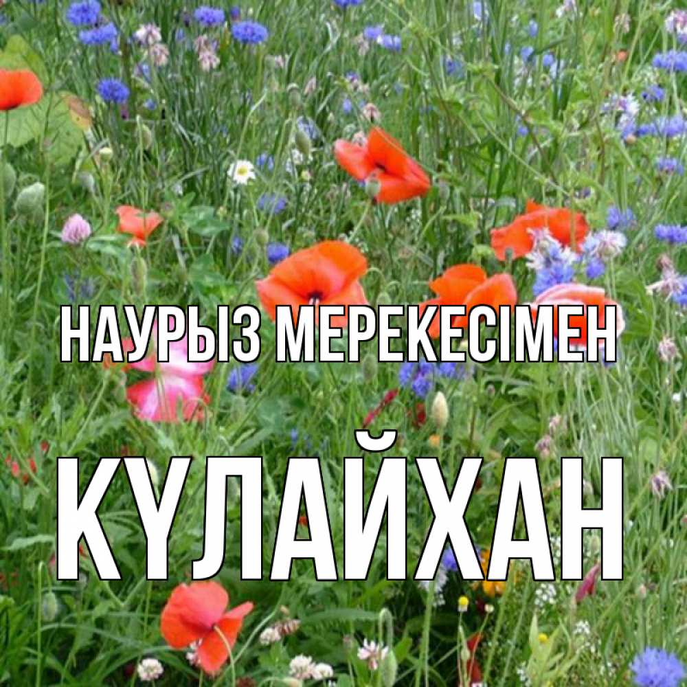 Күн сайын ашық хат с именем, КҮЛАЙХАН Наурыз мерекесімен праздник весны наурыз супер открытка Онлайн тегін жүктеп алу тілектері бар керемет карта 