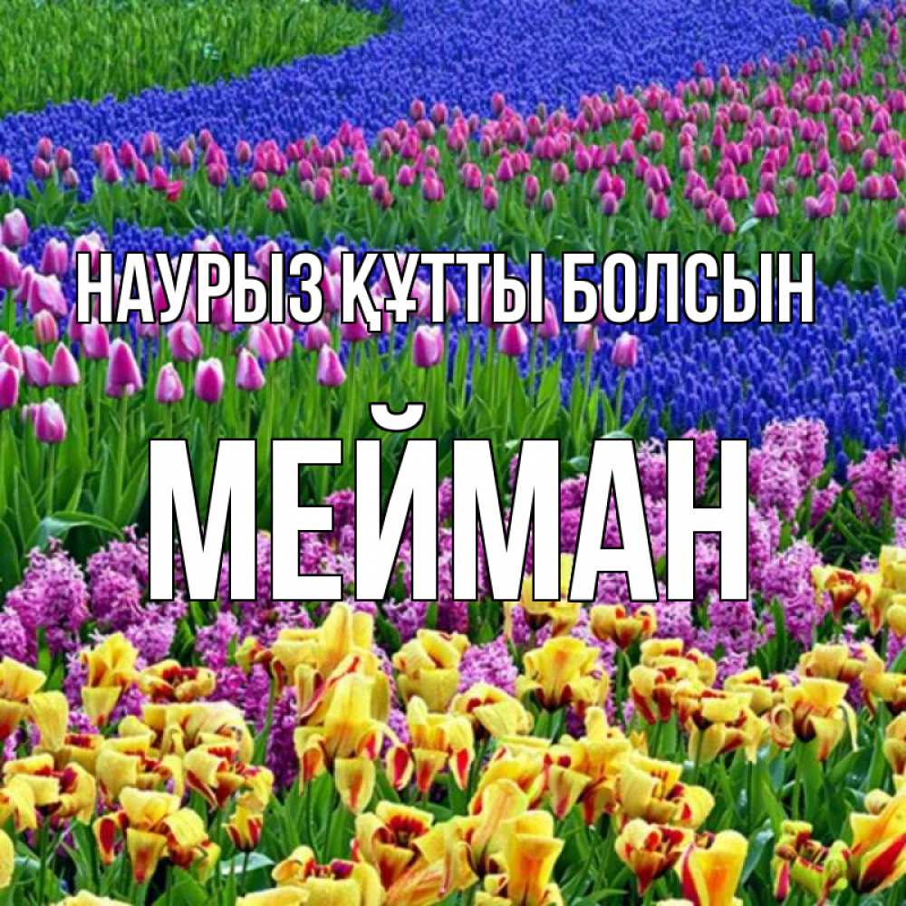 Күн сайын ашық хат с именем, МЕЙМАН Наурыз құтты болсын цветы Онлайн тегін жүктеп алу тілектері бар керемет карта 