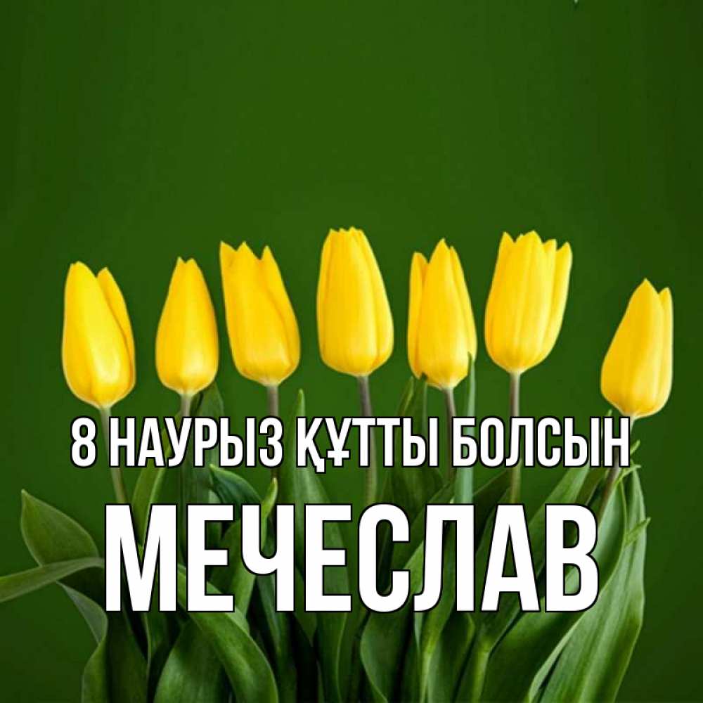Күн сайын ашық хат с именем, Мечеслав 8 наурыз құтты болсын желтого цвета 3 Онлайн тегін жүктеп алу тілектері бар керемет карта 