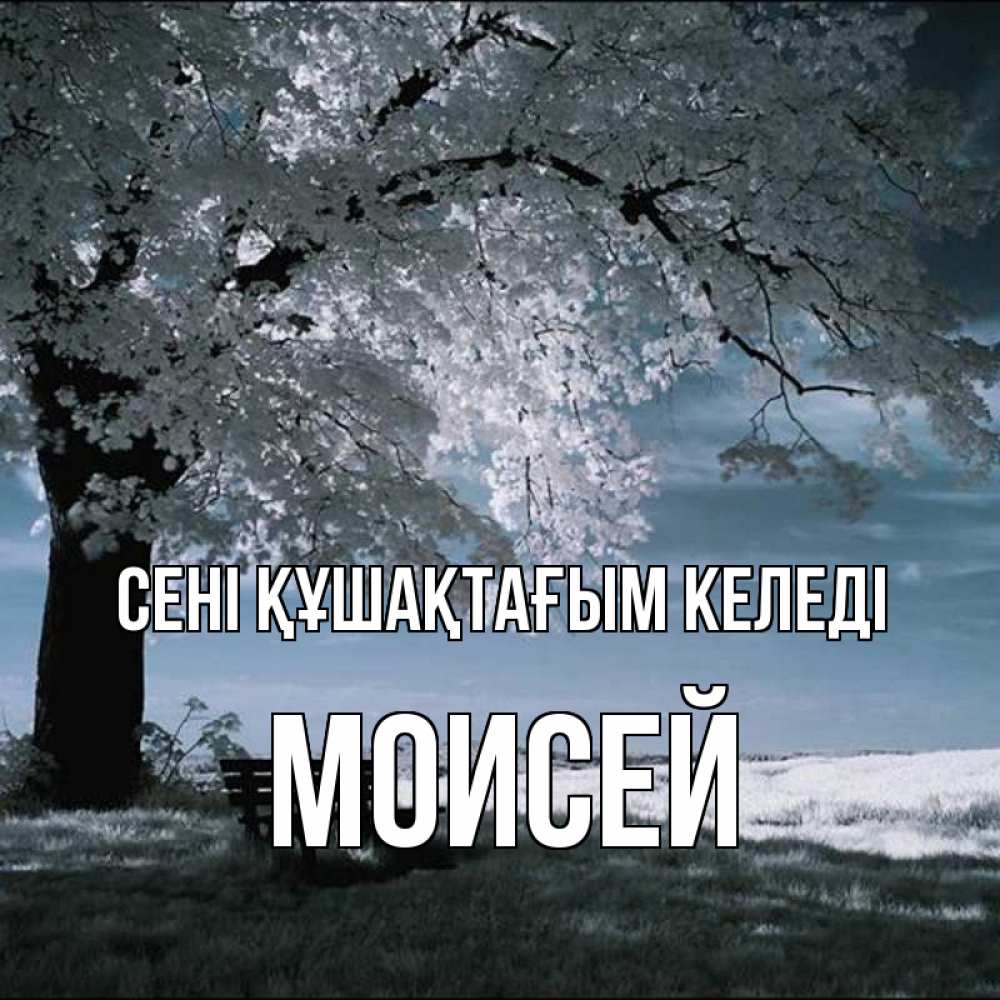 Күн сайын ашық хат с именем, Моисей сені құшақтағым келеді дерево Онлайн тегін жүктеп алу тілектері бар керемет карта 