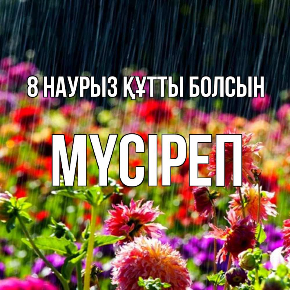 Күн сайын ашық хат с именем, МҮСІРЕП 8 наурыз құтты болсын цветы под дождиком к международному женскому дню Онлайн тегін жүктеп алу тілектері бар керемет карта 