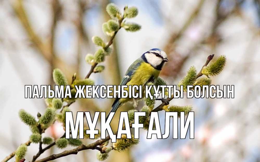 Күн сайын ашық хат с именем, МҰҚАҒАЛИ Пальма жексенбісі құтты болсын верба Онлайн тегін жүктеп алу тілектері бар керемет карта 