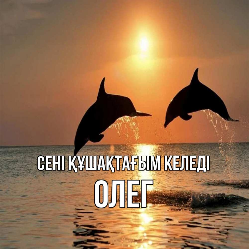 Күн сайын ашық хат с именем, Олег сені құшақтағым келеді рыбы на закате Онлайн тегін жүктеп алу тілектері бар керемет карта 