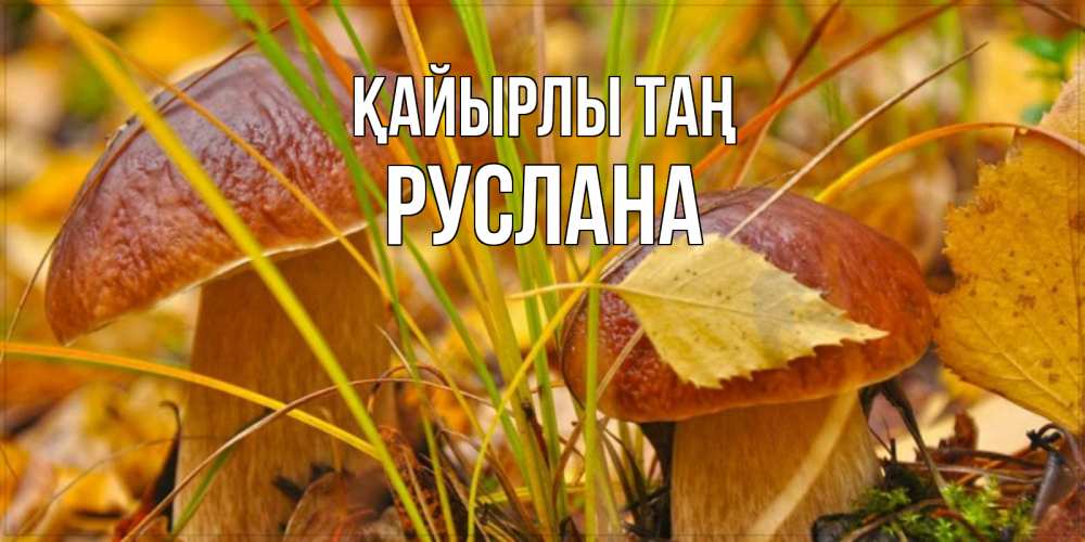 Күн сайын ашық хат с именем, РУСЛАНА Қайырлы таң осенние грибы Онлайн тегін жүктеп алу тілектері бар керемет карта 