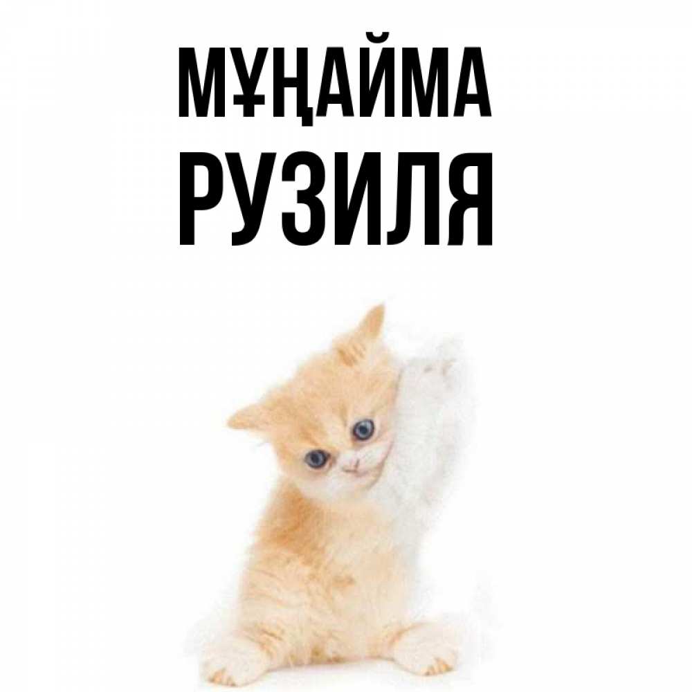 Күн сайын ашық хат с именем, Рузиля Мұңайма просящий кот Онлайн тегін жүктеп алу тілектері бар керемет карта 