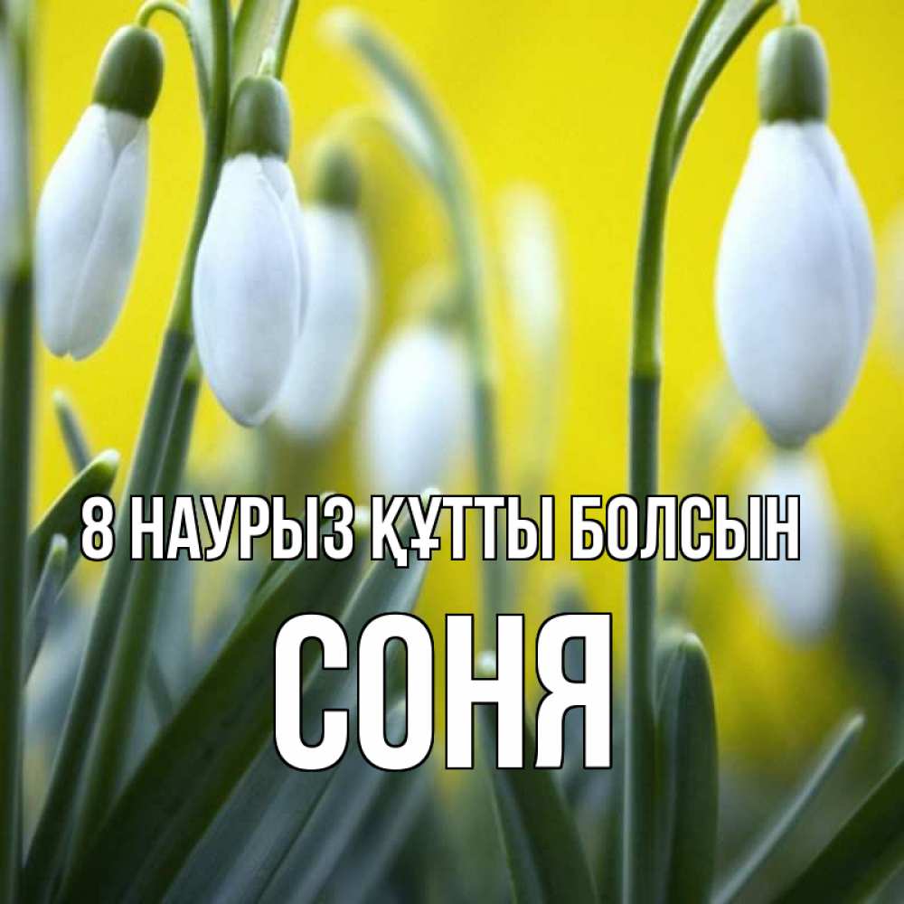 Күн сайын ашық хат с именем, Соня 8 наурыз құтты болсын весенние цветы Онлайн тегін жүктеп алу тілектері бар керемет карта 