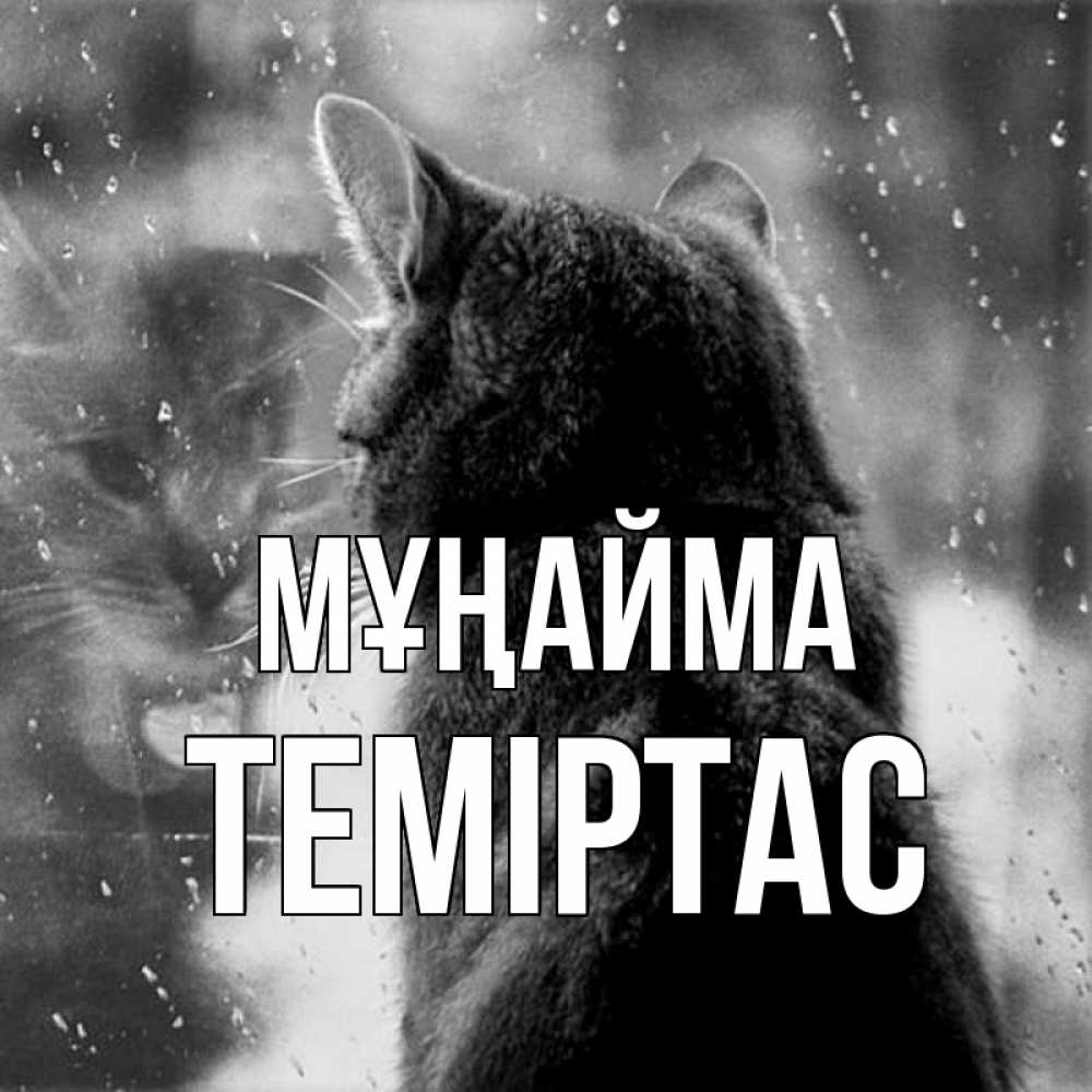 Күн сайын ашық хат с именем, ТЕМІРТАС Мұңайма отражение кота 1 Онлайн тегін жүктеп алу тілектері бар керемет карта 