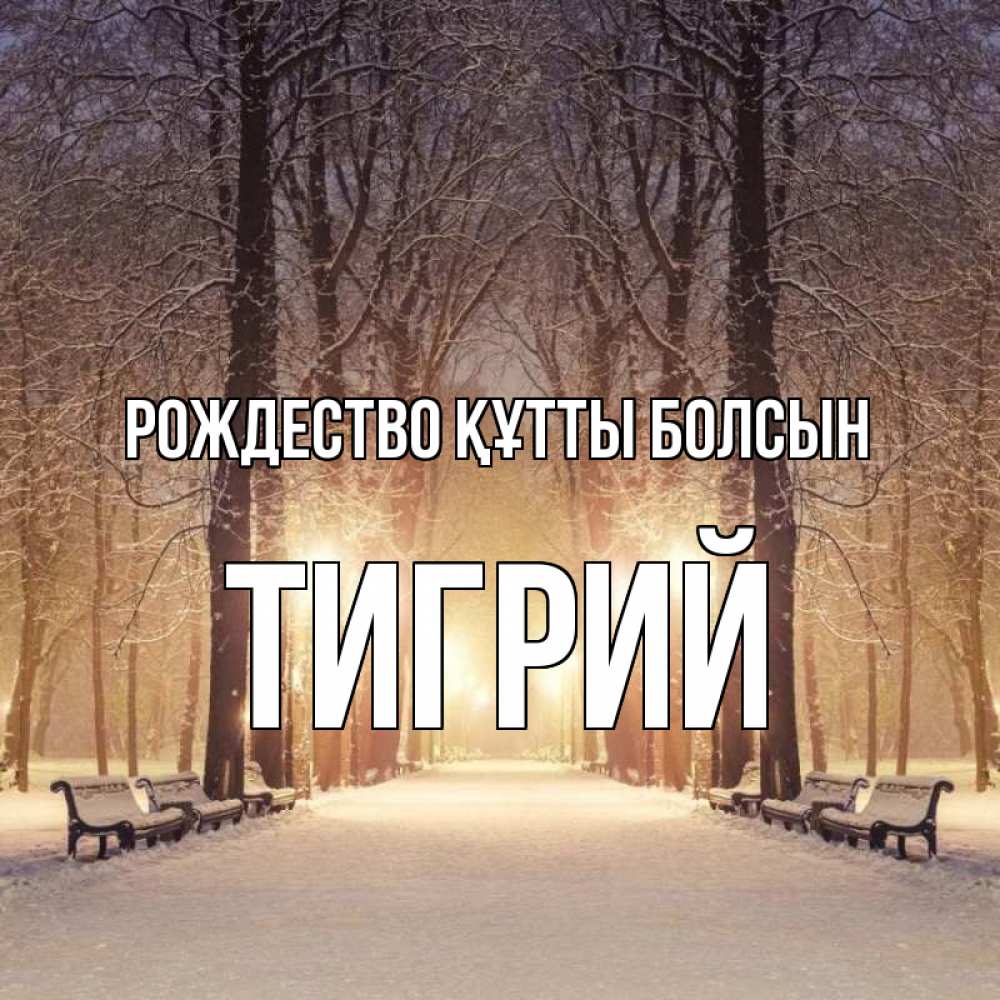 Күн сайын ашық хат с именем, Тигрий Рождество құтты болсын зима, парк, фонарь, лес Онлайн тегін жүктеп алу тілектері бар керемет карта 