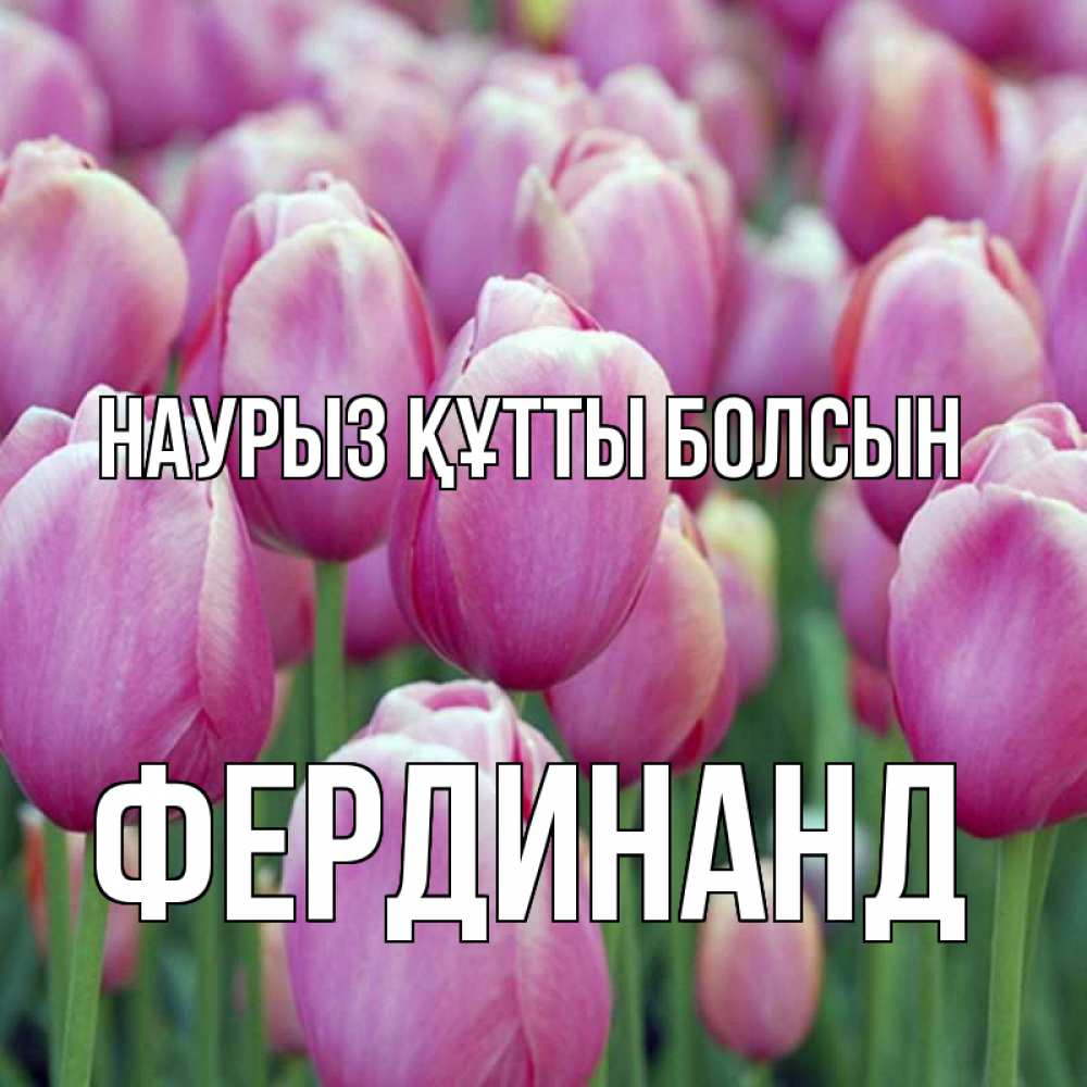 Күн сайын ашық хат с именем, Фердинанд Наурыз құтты болсын на наурыз  день 3 Онлайн тегін жүктеп алу тілектері бар керемет карта 