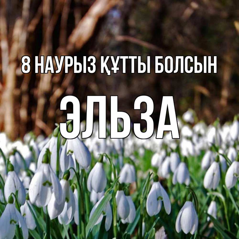 Күн сайын ашық хат с именем, Эльза 8 наурыз құтты болсын с подснежниками 1 Онлайн тегін жүктеп алу тілектері бар керемет карта 